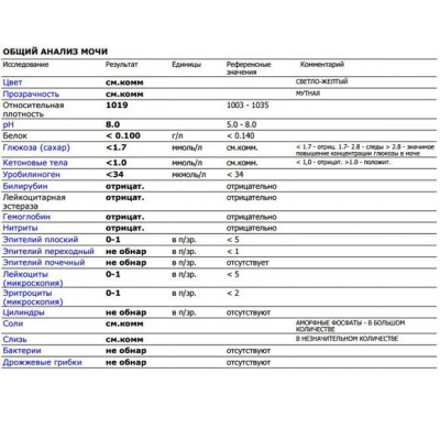 Общий анализ мочи